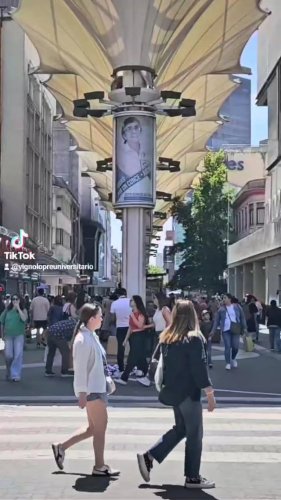 Video post from vignolopreuniversitario.