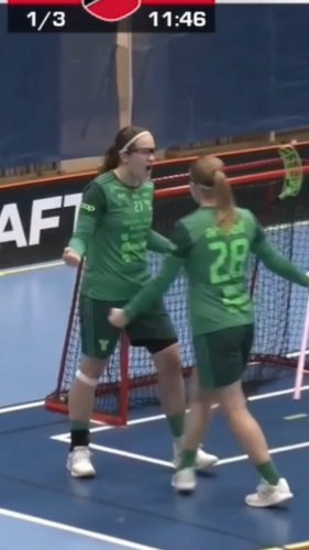 Video post from kauppitwins.