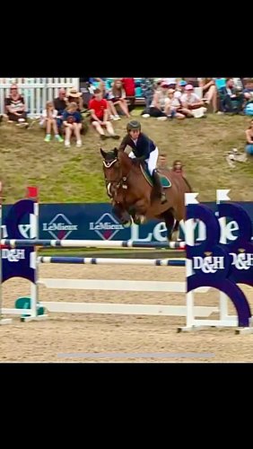 Video post from blackberryequine.