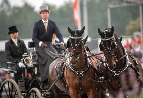 Carousel post from fei_global.