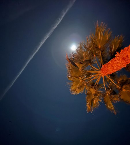 Photo post from beyondsportinsta.