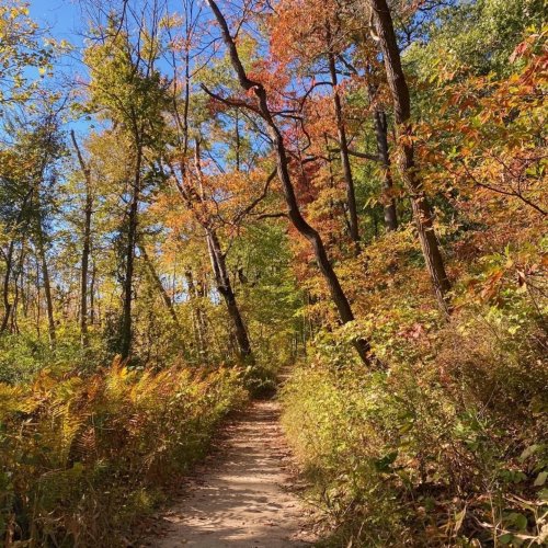 Photo post from duneslearning.