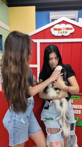 Video post from njexoticpets.