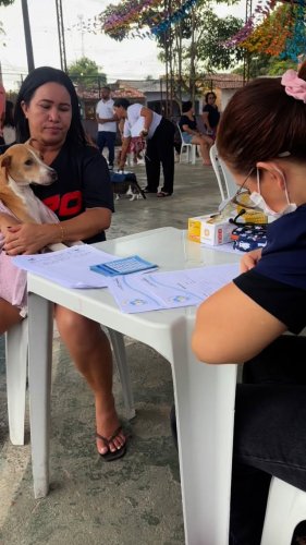 Video post from ananindeuapma.