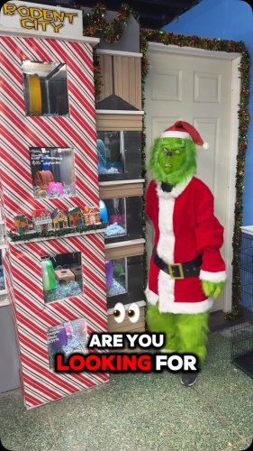 Video post from njexoticpets.