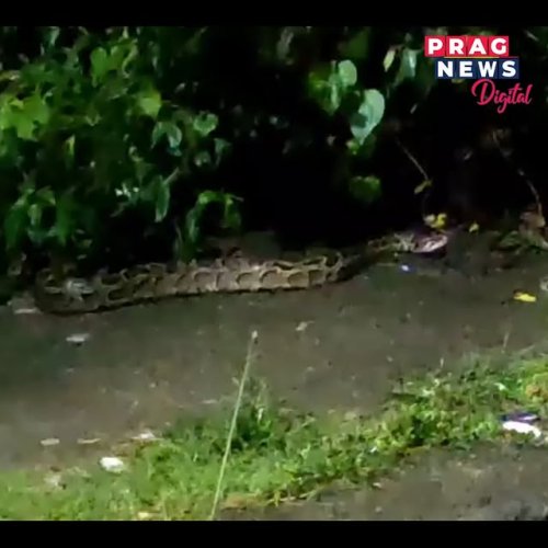 Video post from pragnewsofficial.