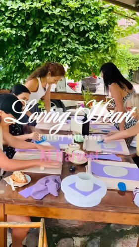 Video post from currumbinvalleyharvest.