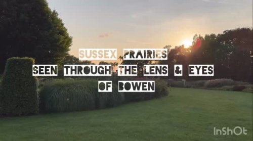 Video post from sussexprairies.