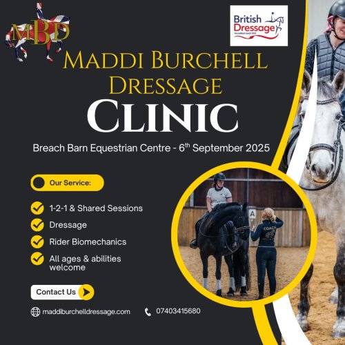 Photo post from mbddressage.