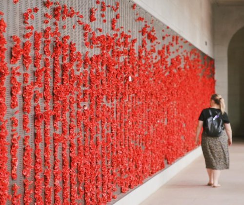 Photo post from alburycity.