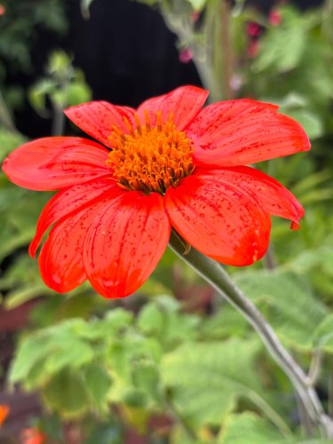 Photo post from gardenhousebrighton.