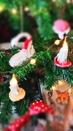 Video post from oljaidevetpaunica.