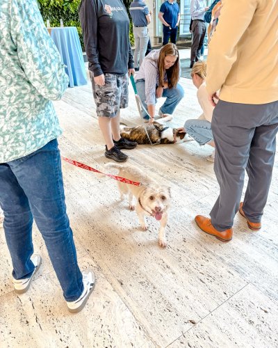 Carousel post from american_re_partners.