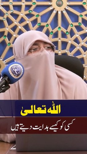 Video post from nighathashmi.