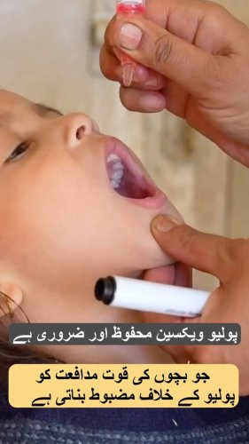 Video post from pakfightspolio.