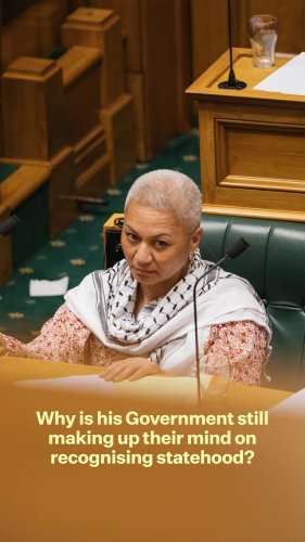 Video post from nzgreenparty.