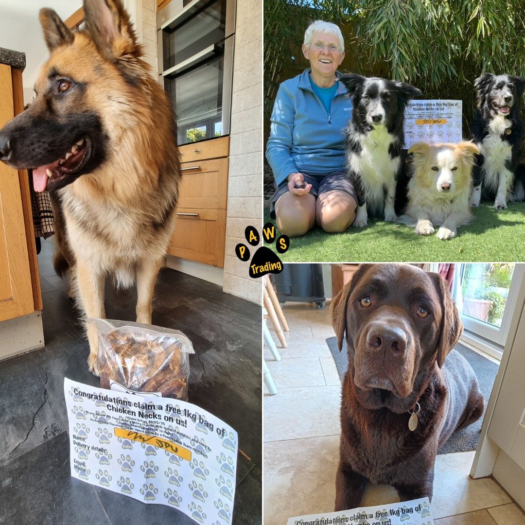 Photo post from pawstrading.
