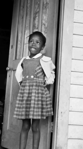 Video post from mixedchickshair.