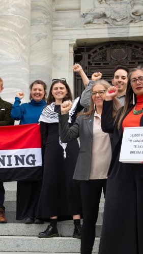 Video post from nzgreenparty.