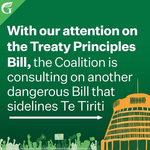 Carousel post from nzgreenparty.