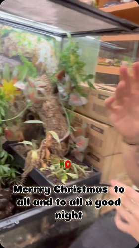 Video post from njexoticpets.
