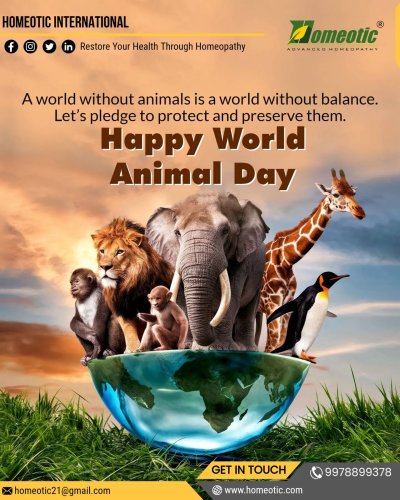 Photo post from homeotic_international.