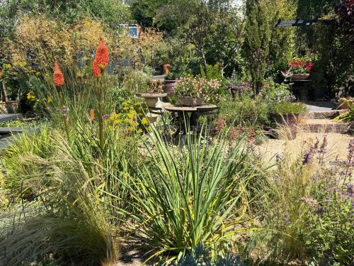 Photo post from gardenhousebrighton.