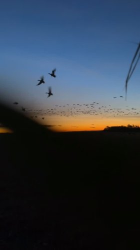 Video post from northernskiesoutfitters.