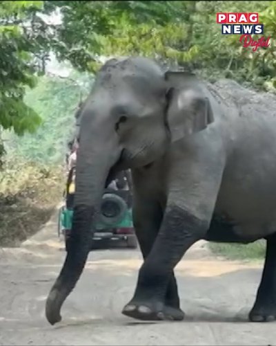 Video post from pragnewsofficial.