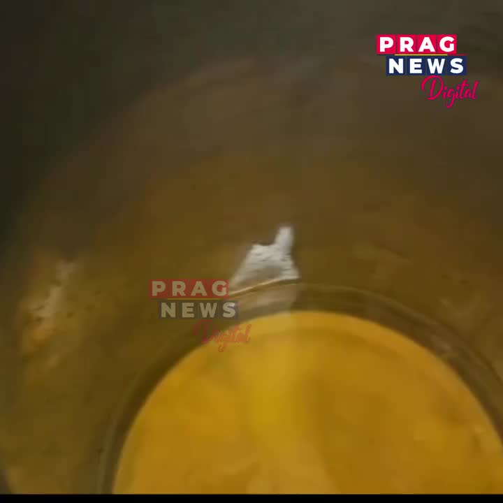 Video post from pragnewsofficial.