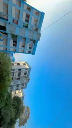 Video post from mira__official__000.