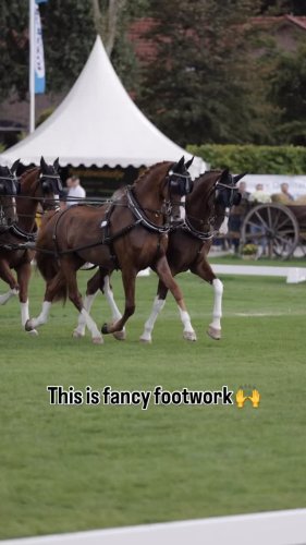 Video post from fei_global.