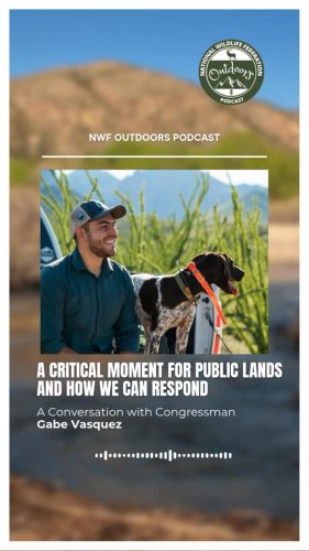 Video post from nwfoutdoors.