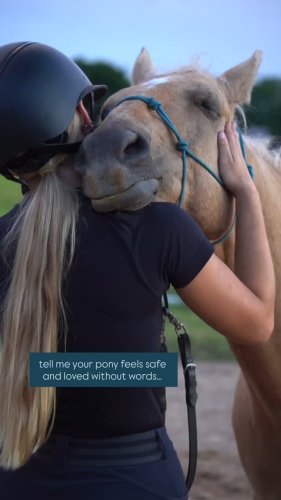 Video post from riding.with.sienna.