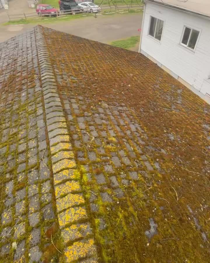 Carousel post from finnriver.