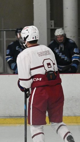 Video post from fu_hockey.