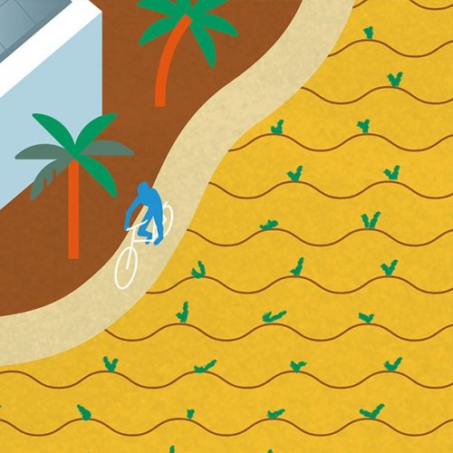 Photo post from unops_official.