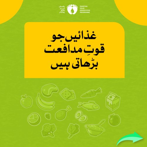 Carousel post from pakfightspolio.