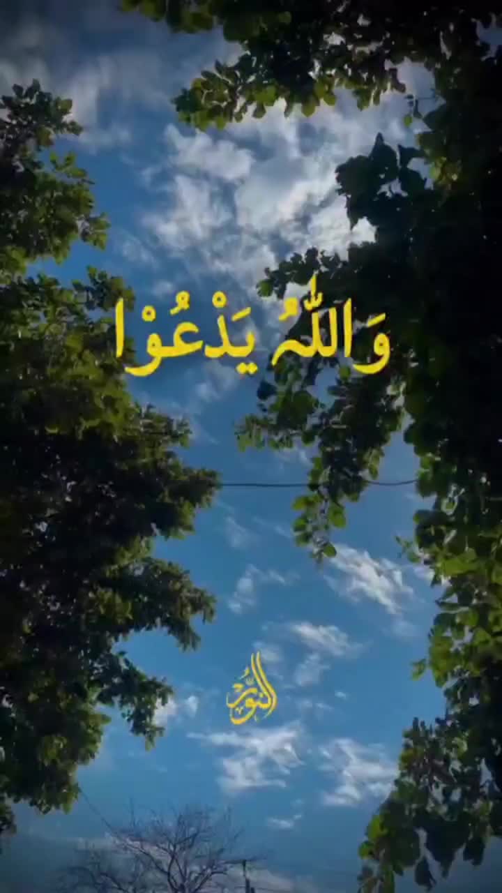 Video post from nighathashmi.