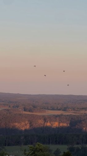 Video post from in2thewild.aus.