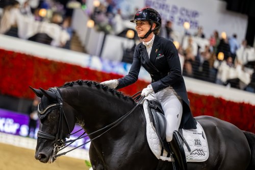 Photo post from fei_global.