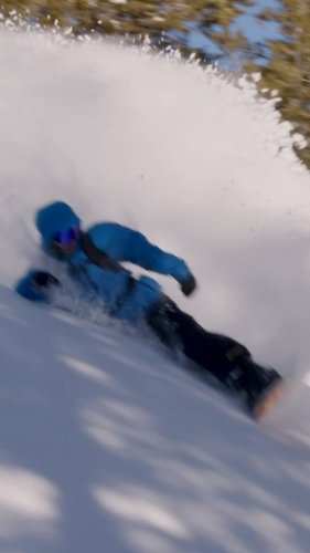 Video post from libtechnologies.