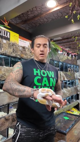 Video post from njexoticpets.