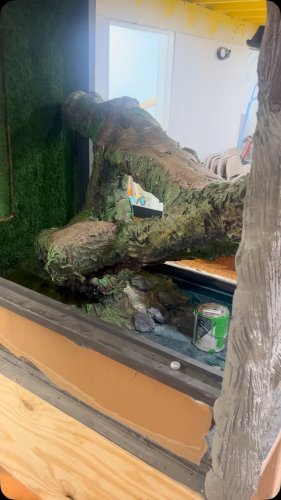 Video post from njexoticpets.
