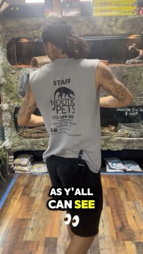 Video post from njexoticpets.