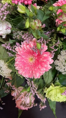Video post from dellemannbloemen.