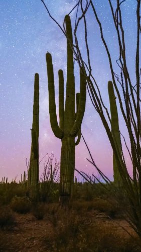 Video post from visittucson.