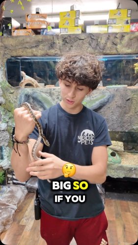 Video post from njexoticpets.