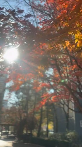Video post from nydreamer7.