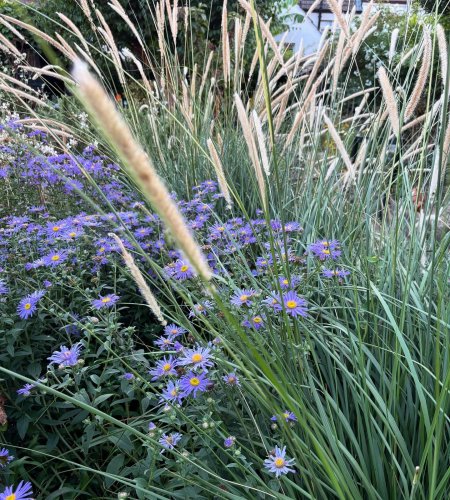 Photo post from gardenhousebrighton.
